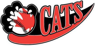 Thunder Bay Border Cats 2003-Pres Alternate Logo iron on heat transfer
